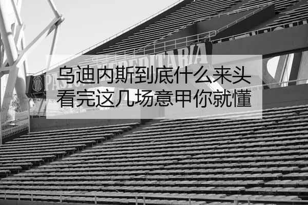 乌迪内斯到底什么来头 看完这几场意甲你就懂